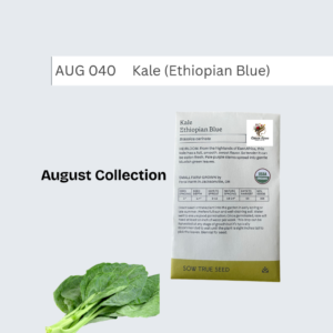 Kale (Ethiopian Blue)
