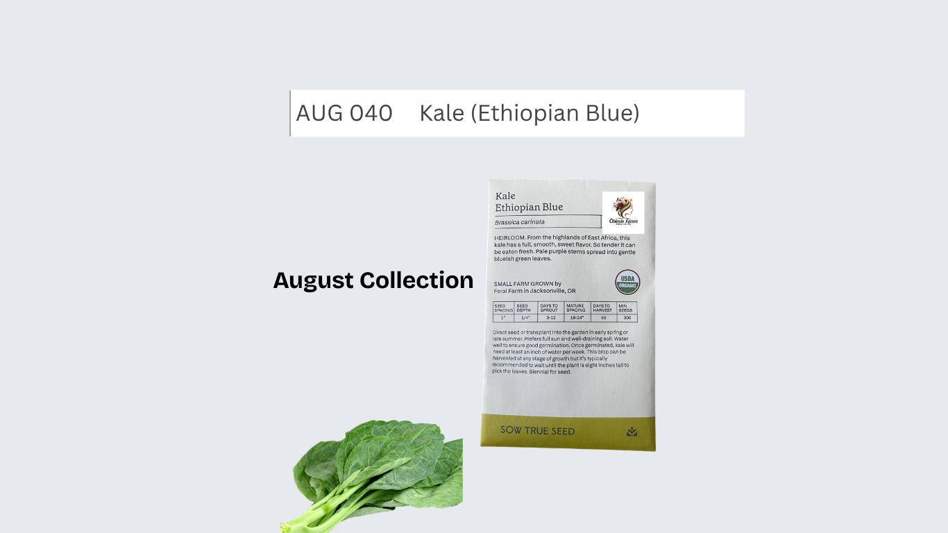 Kale (Ethiopian Blue)