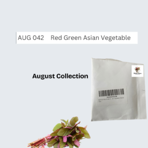 500PCS Red Green Asian Vegetable