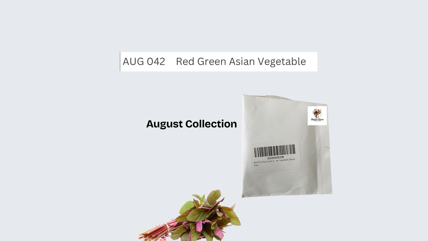 500PCS Red Green Asian Vegetable