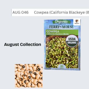 Cowpea (California Blackeye (Bush))
