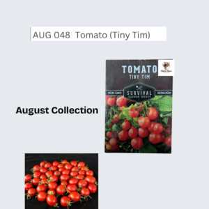 Tomato (Tiny Tim)