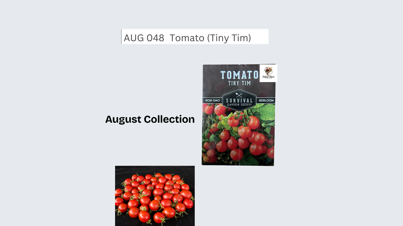 Tomato (Tiny Tim)