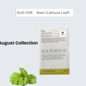 Basil (Lettuce Leaf)
