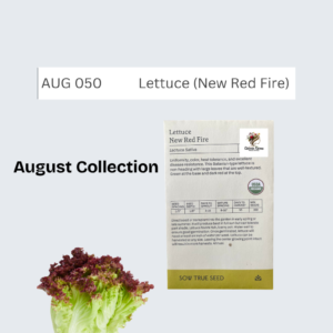 Lettuce (New Red Fire)