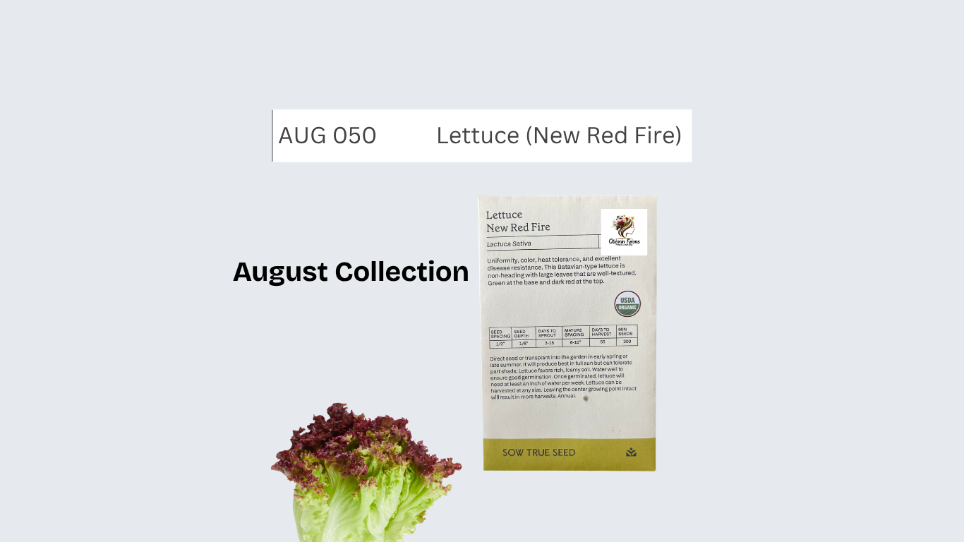 Lettuce (New Red Fire)