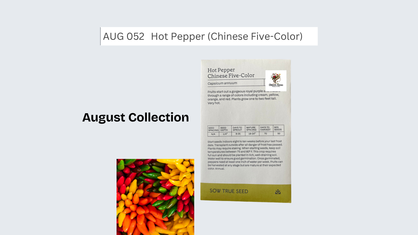 Hot Pepper (Chinese Five-Color)