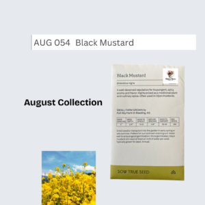 Black Mustard