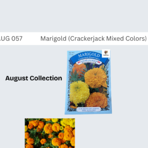 Marigold (Crackerjack MC)