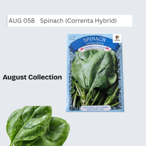 Spinach (Correnta Hybrid)