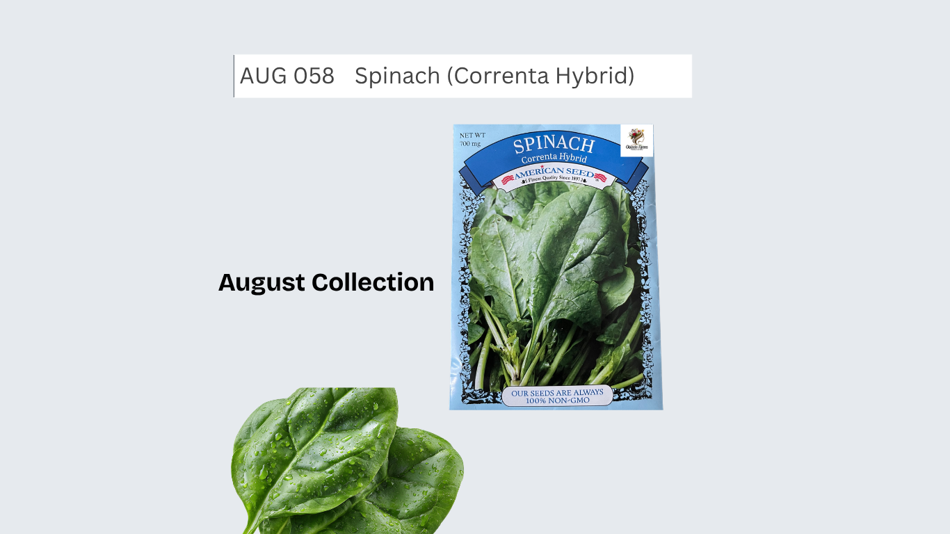 Spinach (Correnta Hybrid)