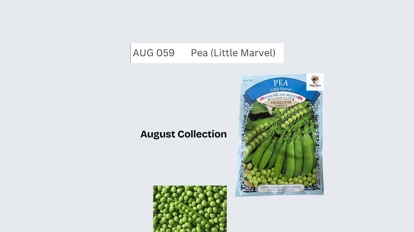 Pea (Little Marvel)