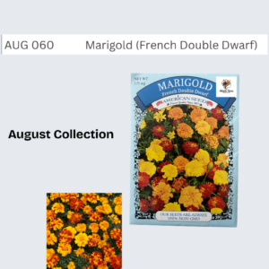 Marigold Seeds (French Double Dwarf)
