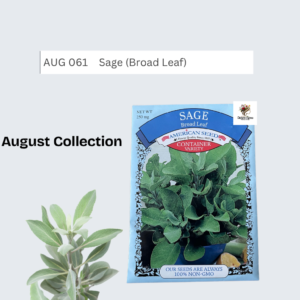Broadleaf Sage