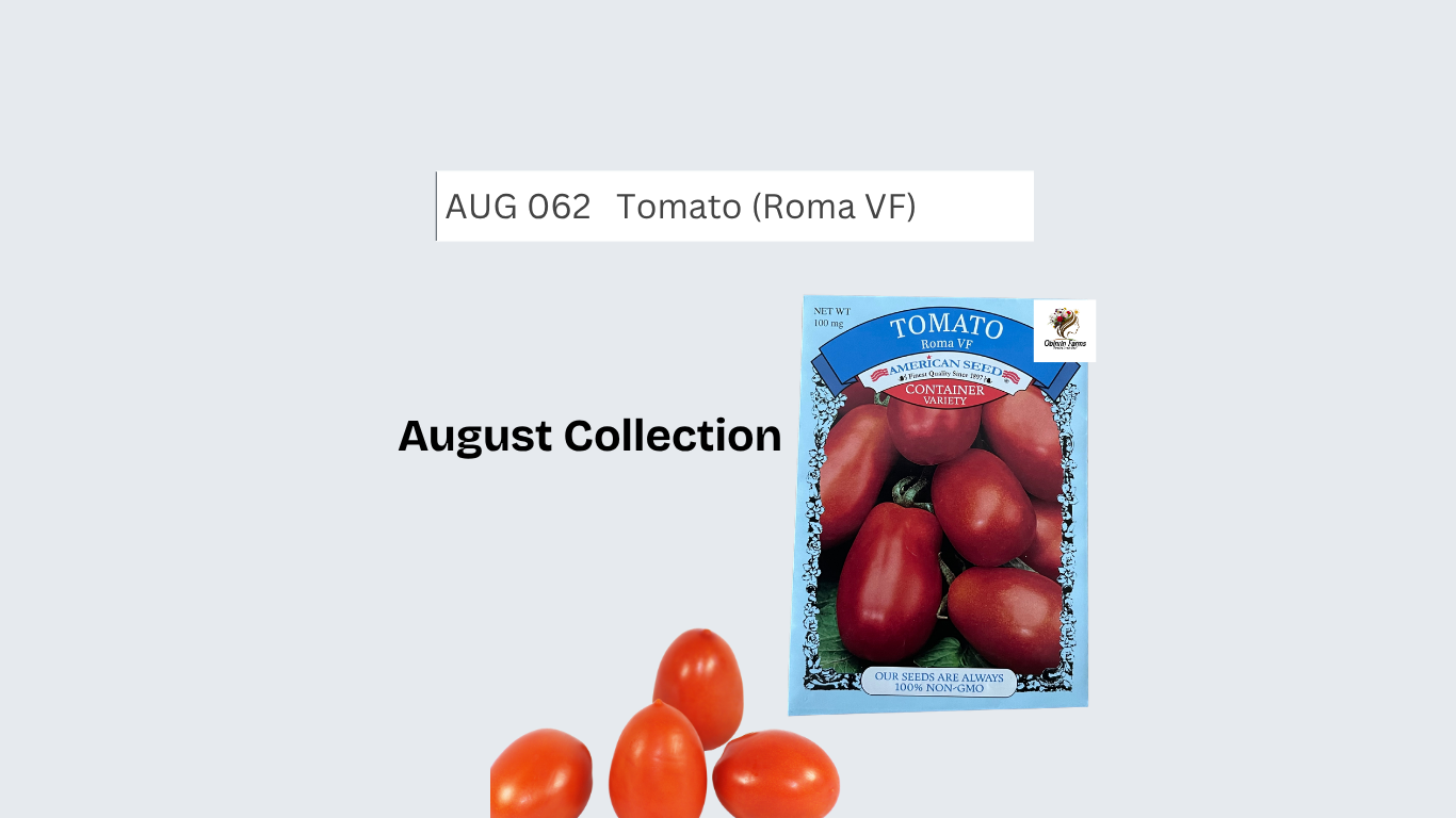 Tomato Seeds (Roma VF)