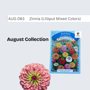 Lilliput Zinnia Seeds (Mixed Colors)
