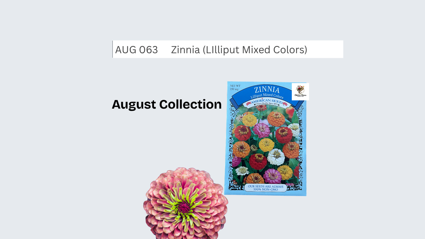Lilliput Zinnia Seeds (Mixed Colors)