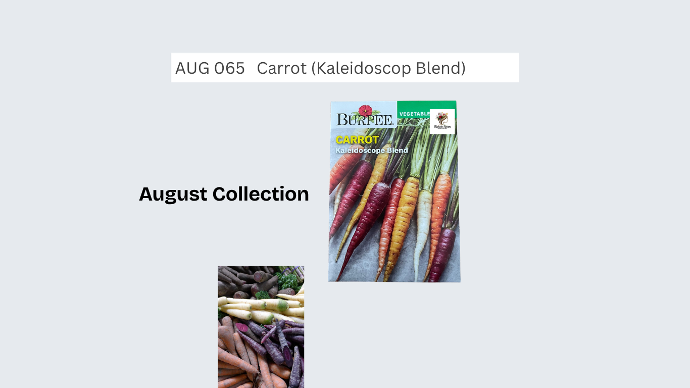 Carrot (Kaleidoscop Blend)