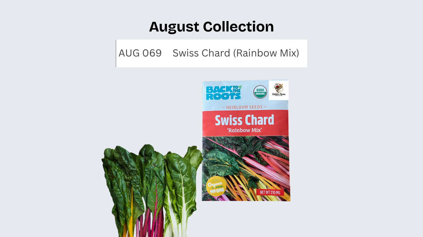 Swiss Chard (Rainbow Mix)