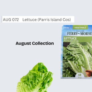 Lettuce (PIC)