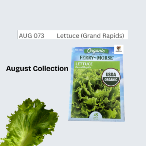 Lettuce (Grand Rapids)