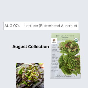 Lettuce (Butterhead Australe)