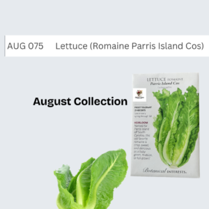 Lettuce (Romaine Parris Island Cos)