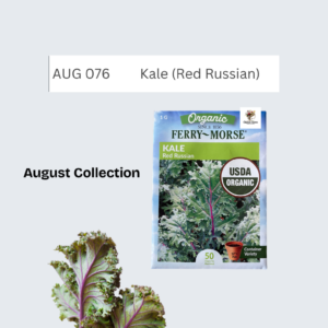 Kale (Red Russian)