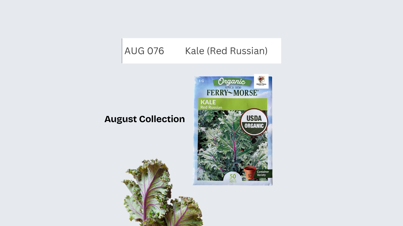Kale (Red Russian)