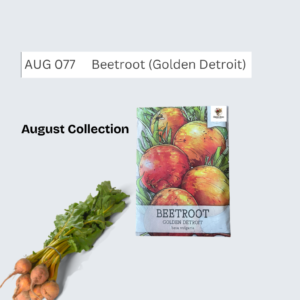 Beetroot (Golden Detroit)