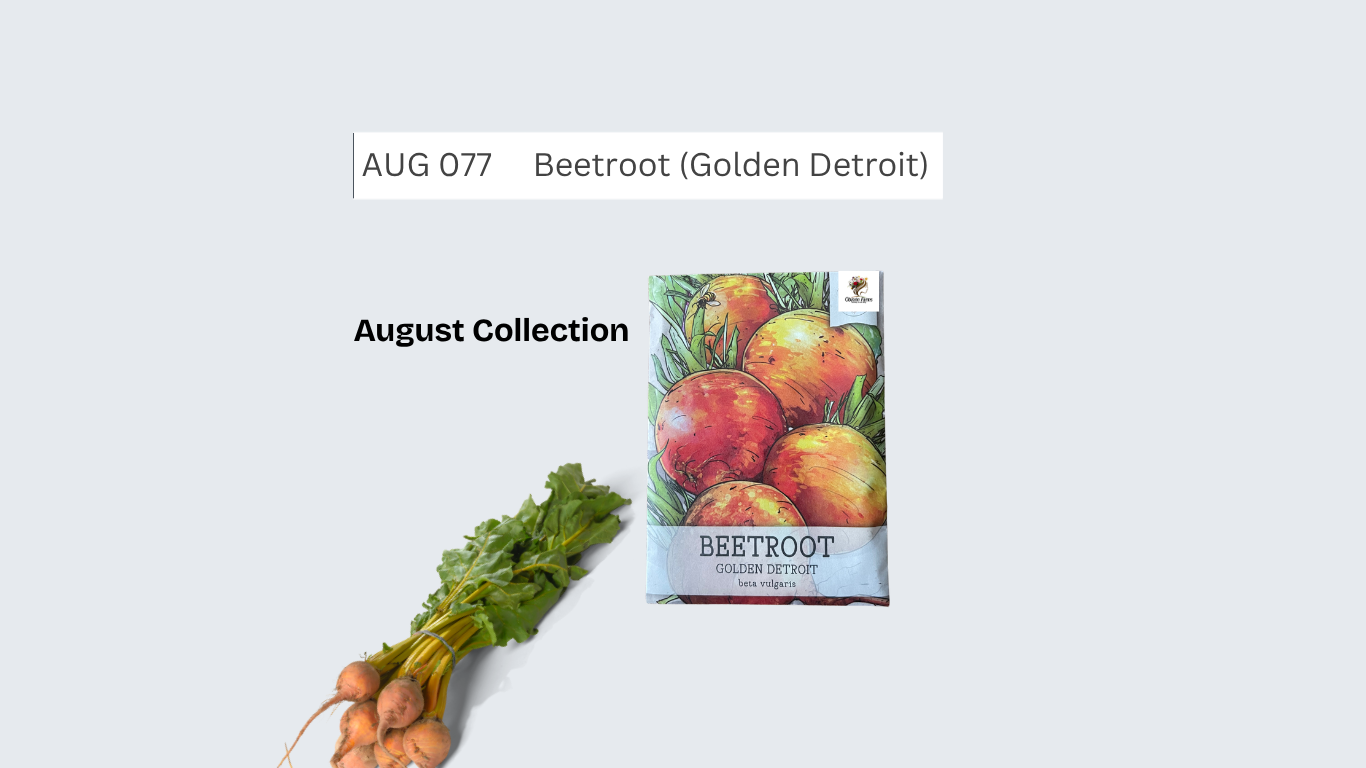 Beetroot (Golden Detroit)