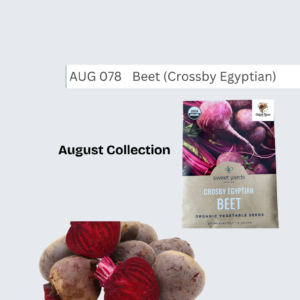 Beet (Crossby Egyptian)