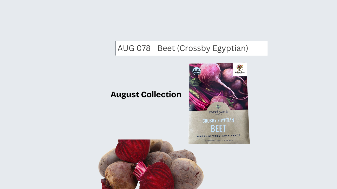 Beet (Crossby Egyptian)