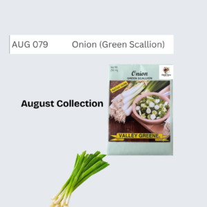 Onion (Green Scallion)