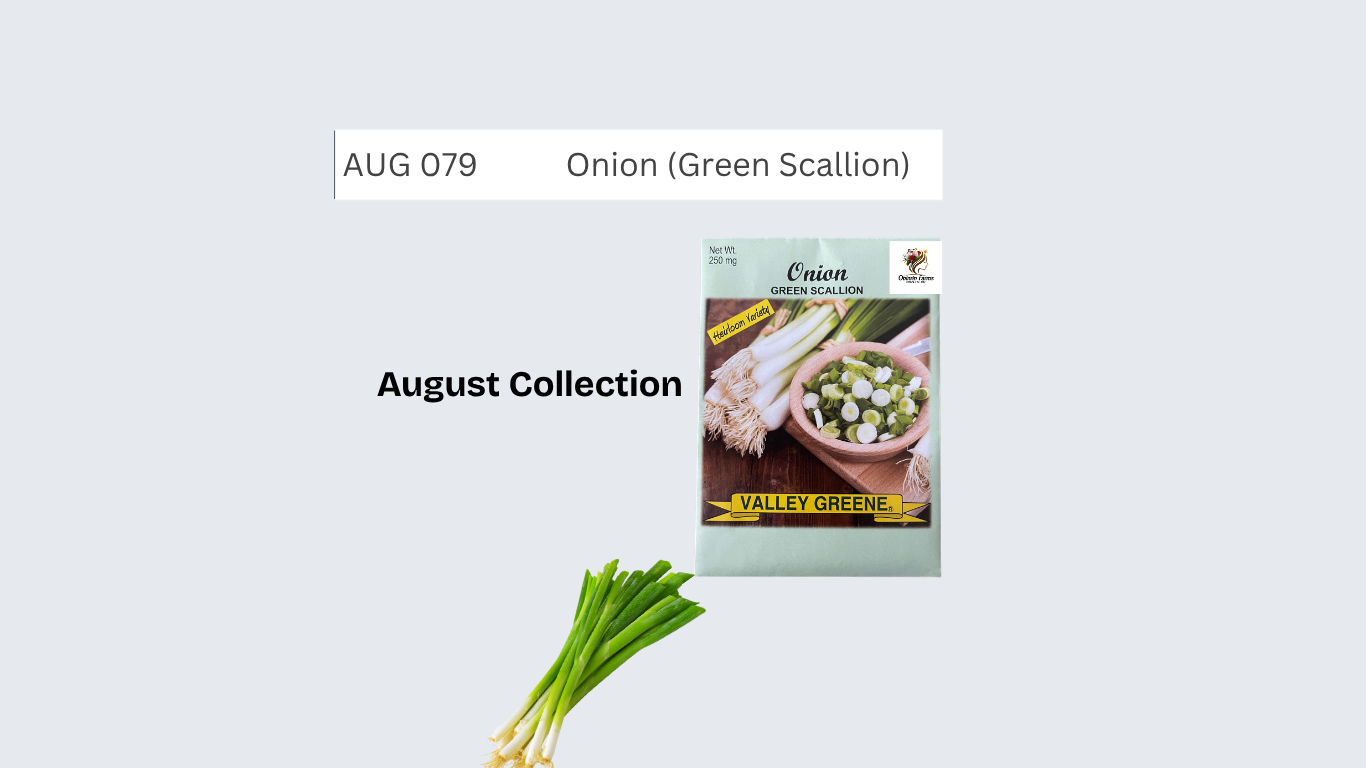 Onion (Green Scallion)