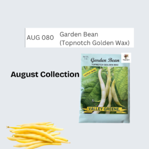 Garden Bean (Topnotch Golden Wax)