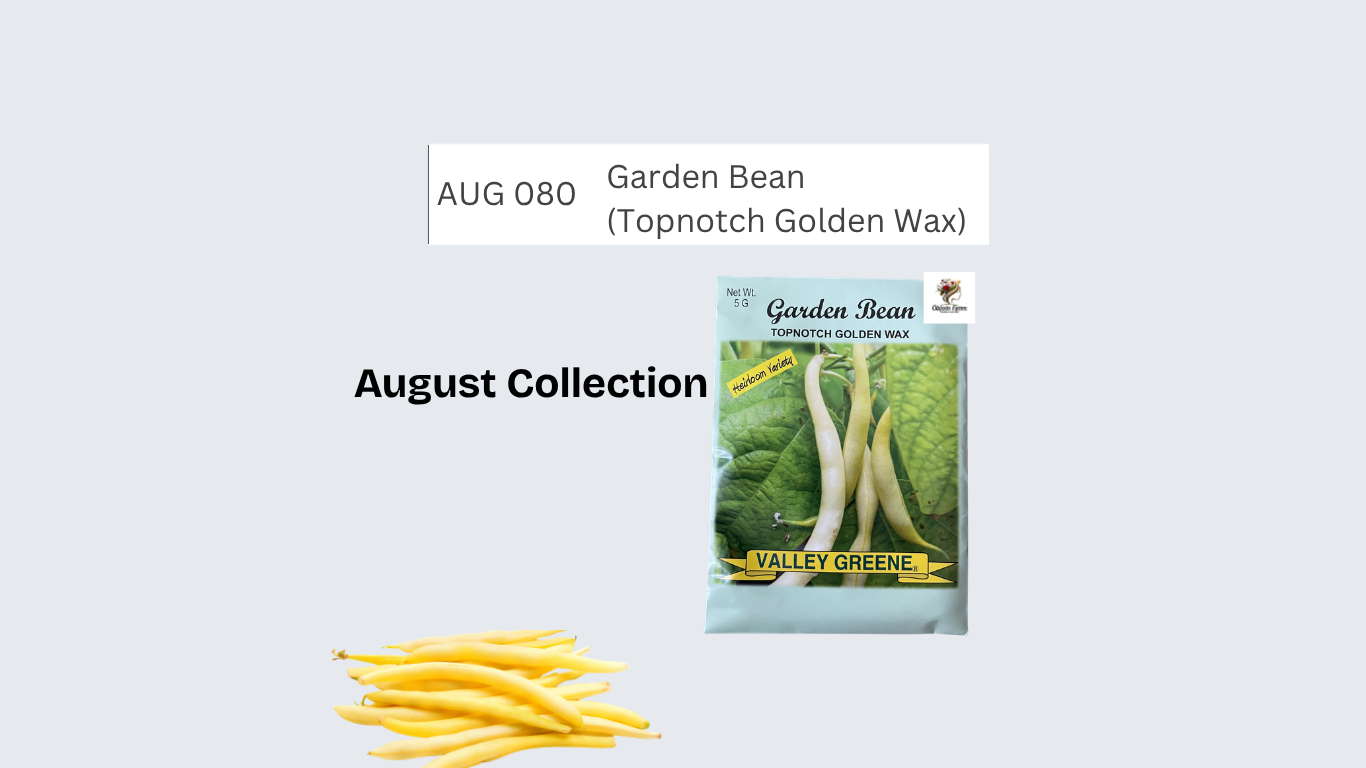 Garden Bean (Topnotch Golden Wax)