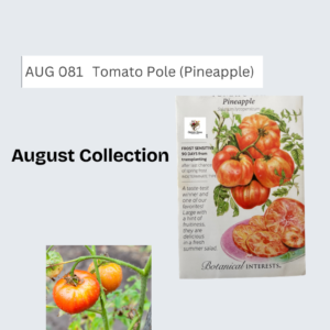 Tomato Pole (Pineapple)