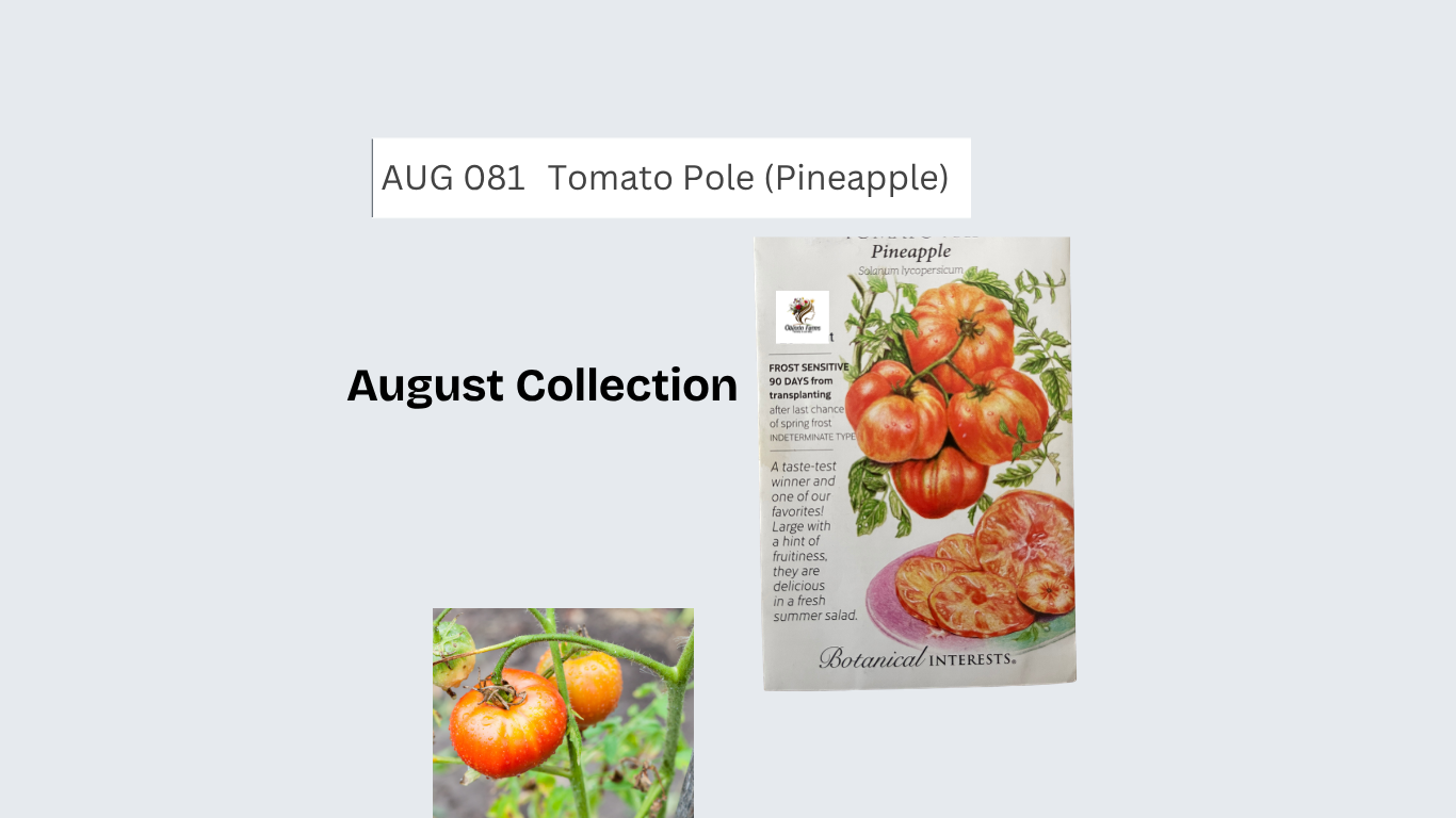 Tomato Pole (Pineapple)