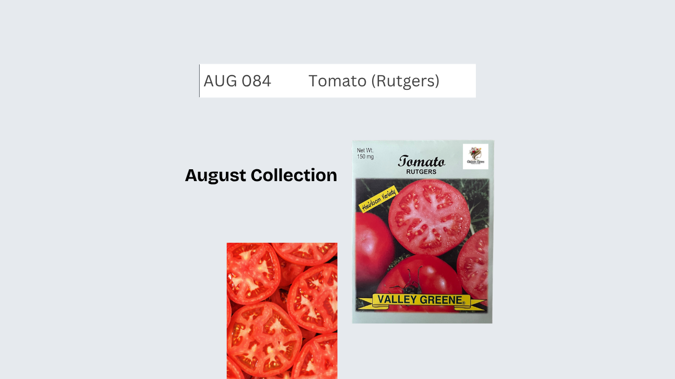 Tomato (Rutgers)