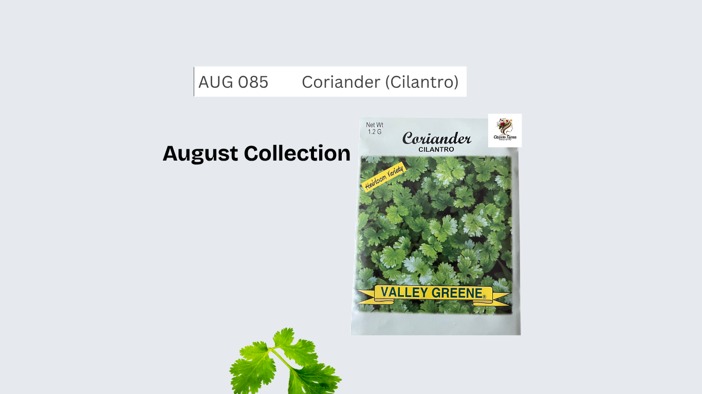 Coriander (Cilantro)