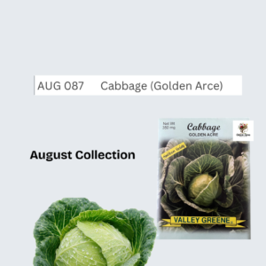 Cabbage (Golden Arce)