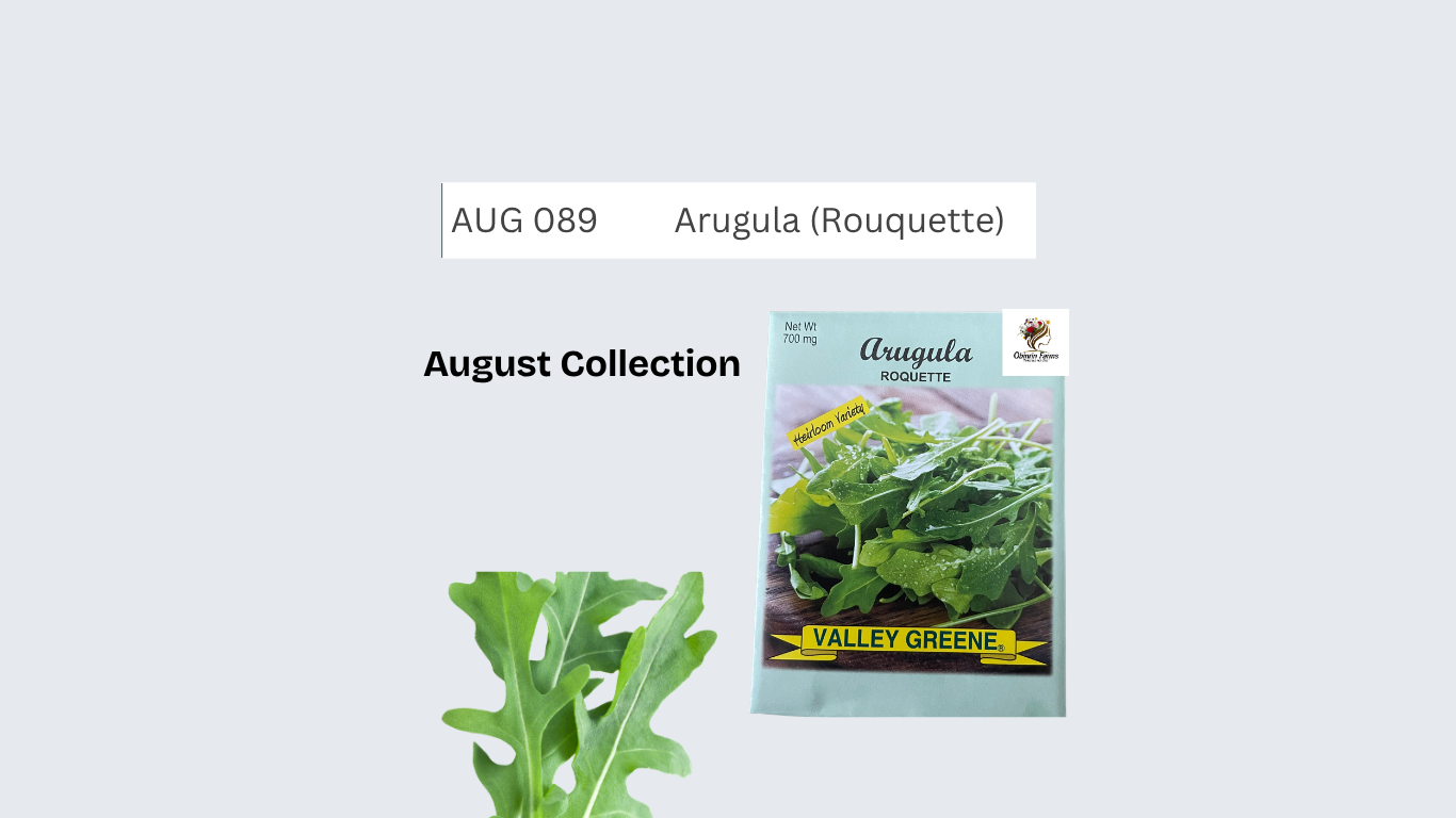 Arugula (Rouquette)