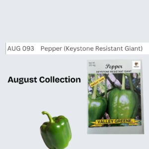 Pepper (Keystone Resistant Giant)