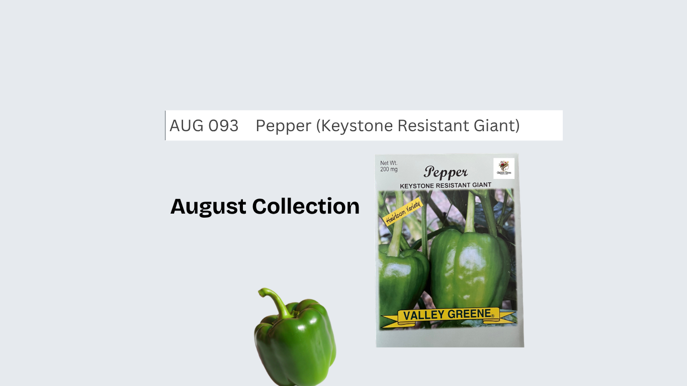 Pepper (Keystone Resistant Giant)