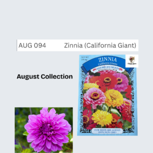 Zinnia (California Giant)