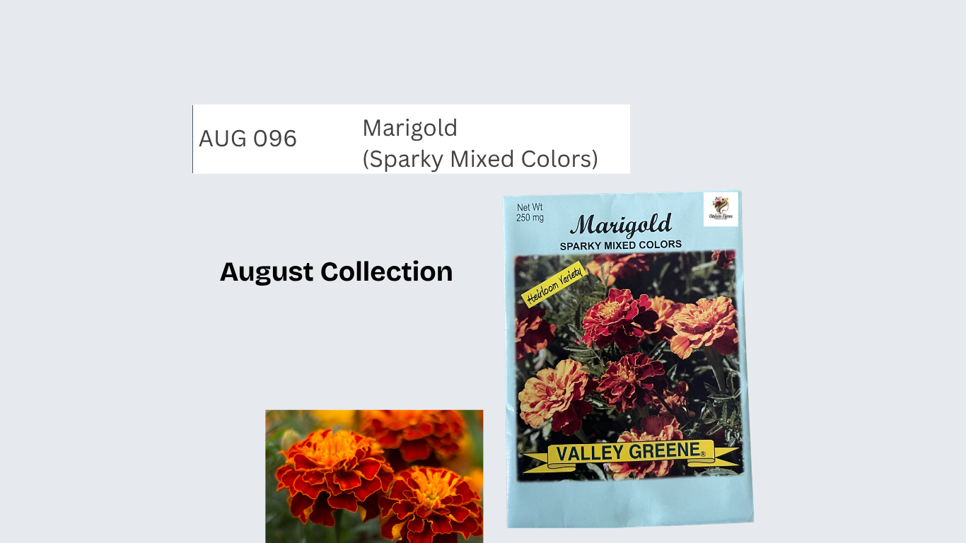 Marigold (Sparky Mixed Colors)