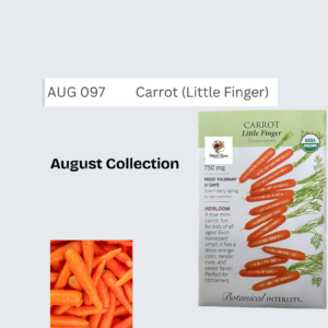 Carrot (Little Finger)