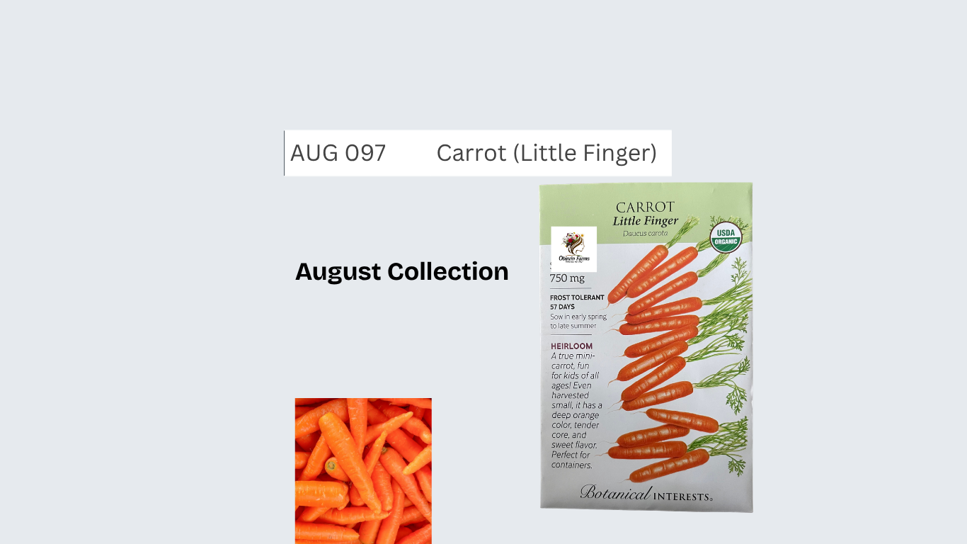 Carrot (Little Finger)