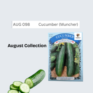 Cucumber (Muncher)